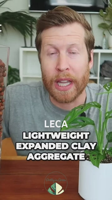 LECA Clay Balls (400gm) - Hydrotons Lightweight Expanded Clay